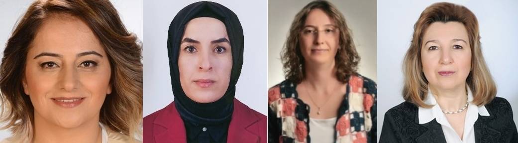 TÜBİTAK KARİYER GELİŞTİRME PROGRAMINA KABUL EDİLDİ