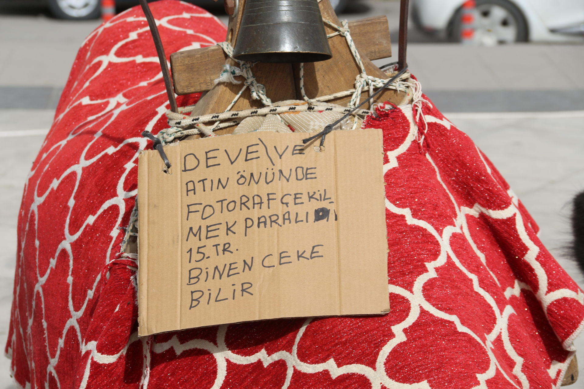 BU DEVELER DURDUĞU YERDEN PARA KAZANIYOR