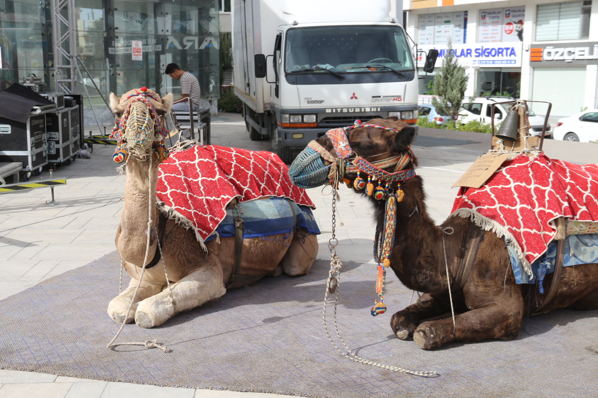 BU DEVELER DURDUĞU YERDEN PARA KAZANIYOR