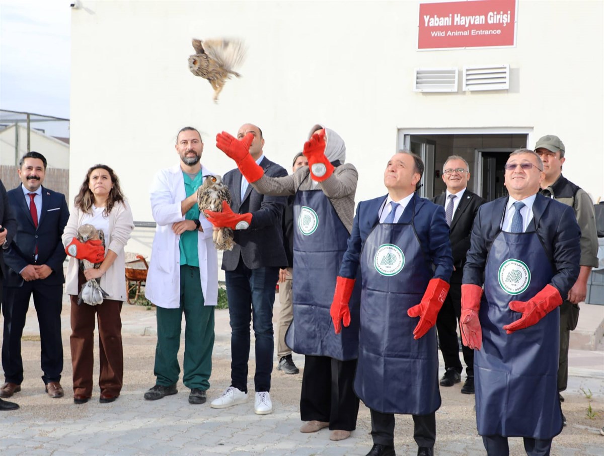 YARALI GELDİĞİ MERKEZDE TEDAVİSİ TAMAMLANDI