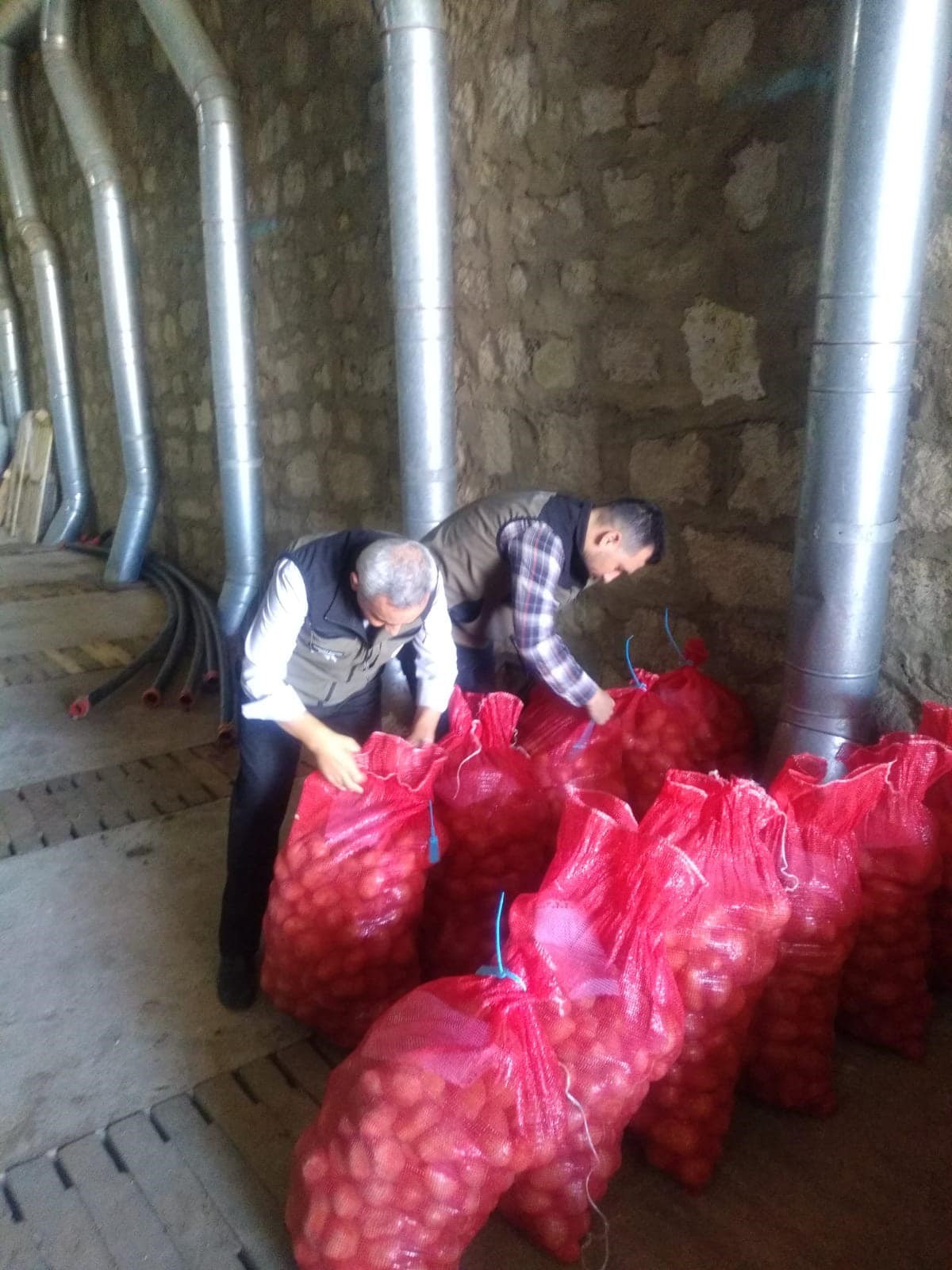 TOHUMLUK PATATESLERİN KONTROLÜ YAPILDI