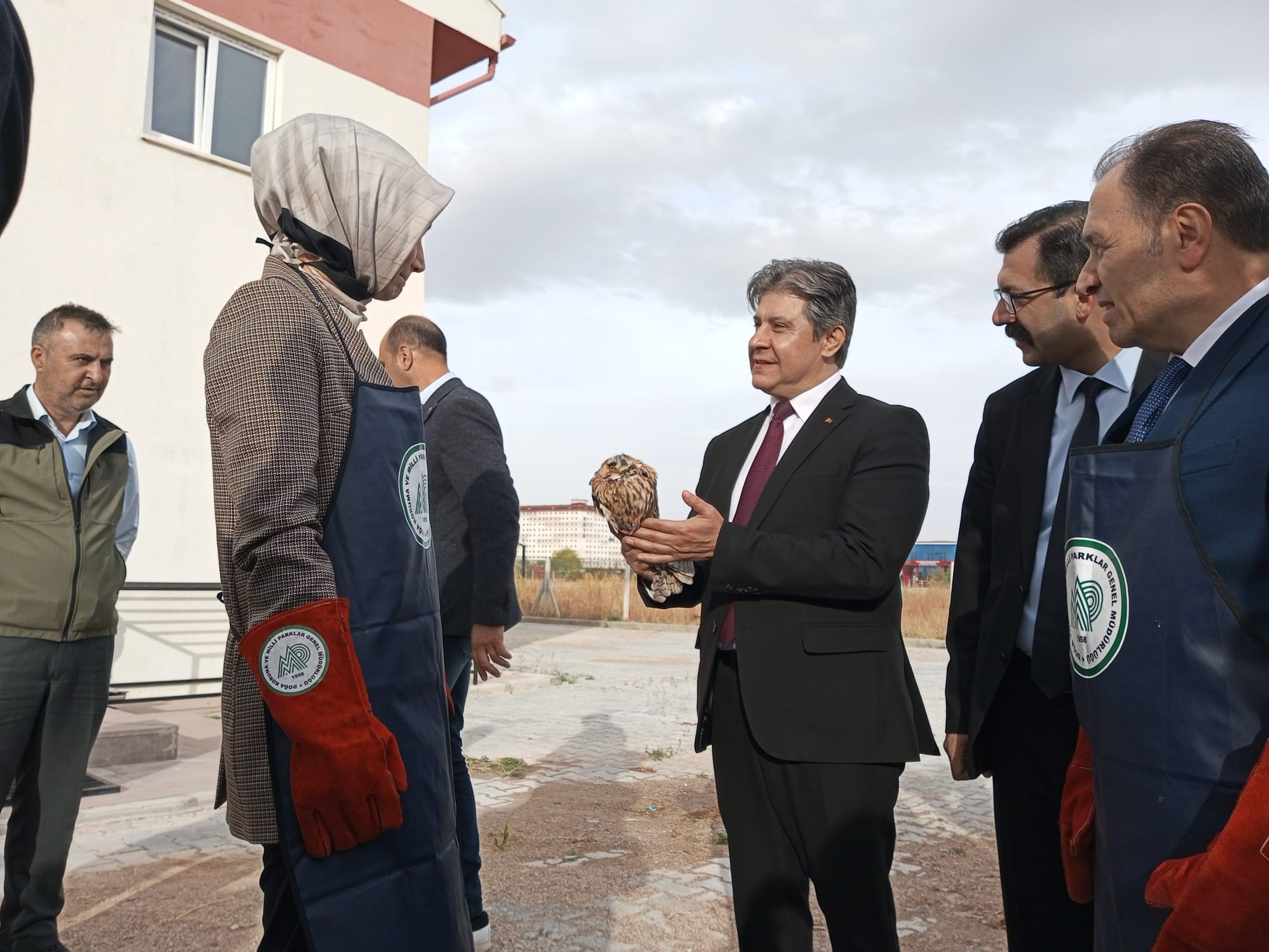 TEDAVİLERİ TAMAMLANAN YIRTICI KUŞLARI DOĞAYA PROTOKOL ÜYELERİ SALDI