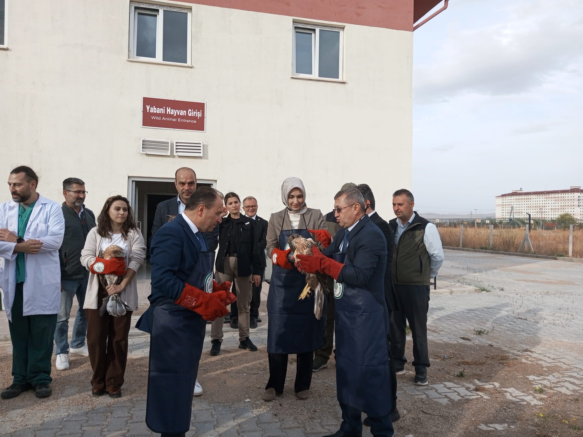 TEDAVİLERİ TAMAMLANAN YIRTICI KUŞLARI DOĞAYA PROTOKOL ÜYELERİ SALDI