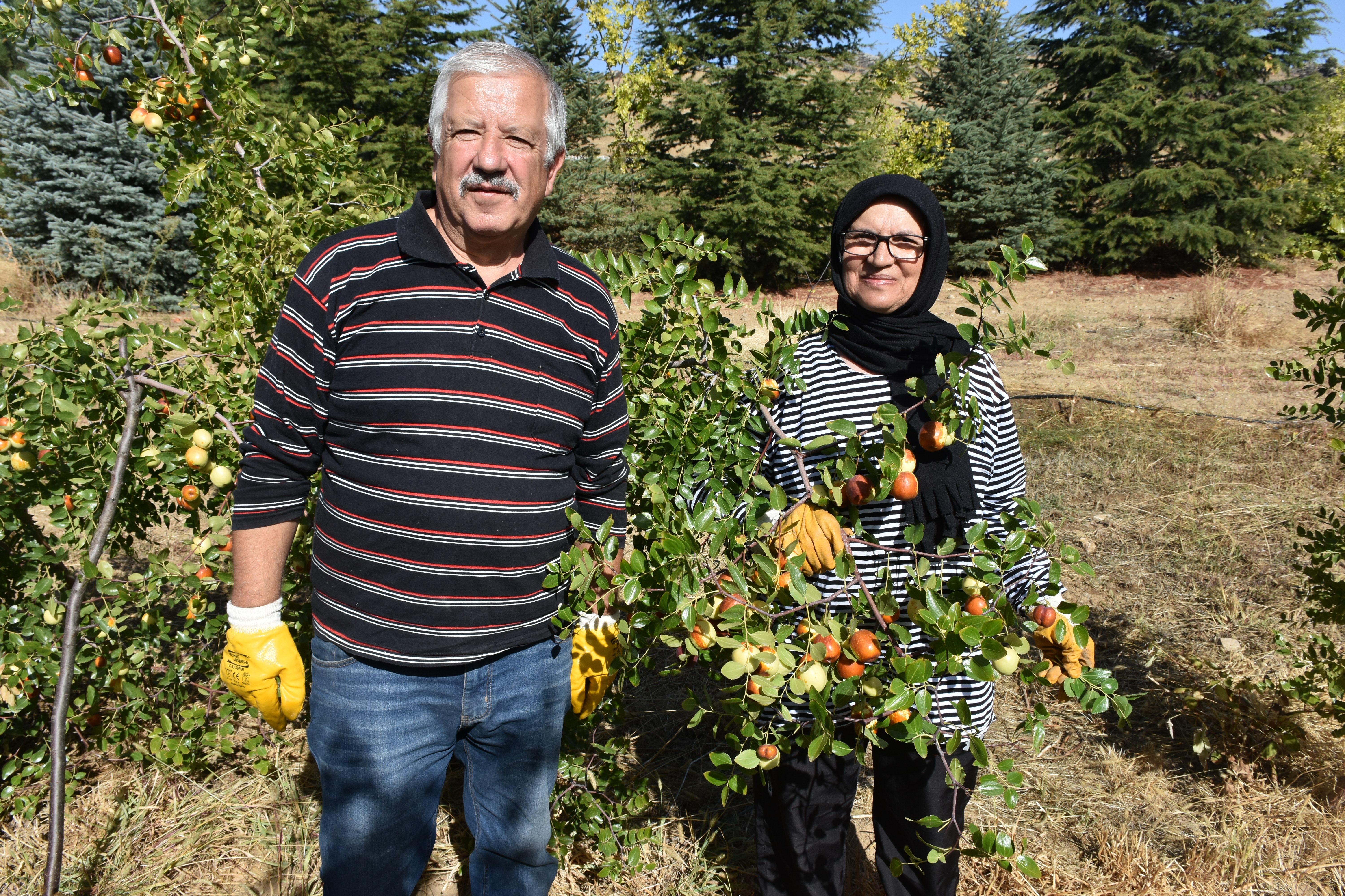 AFYON'DA ÜRETİLİYOR DÜNYAYA İHRAÇ EDİYOR