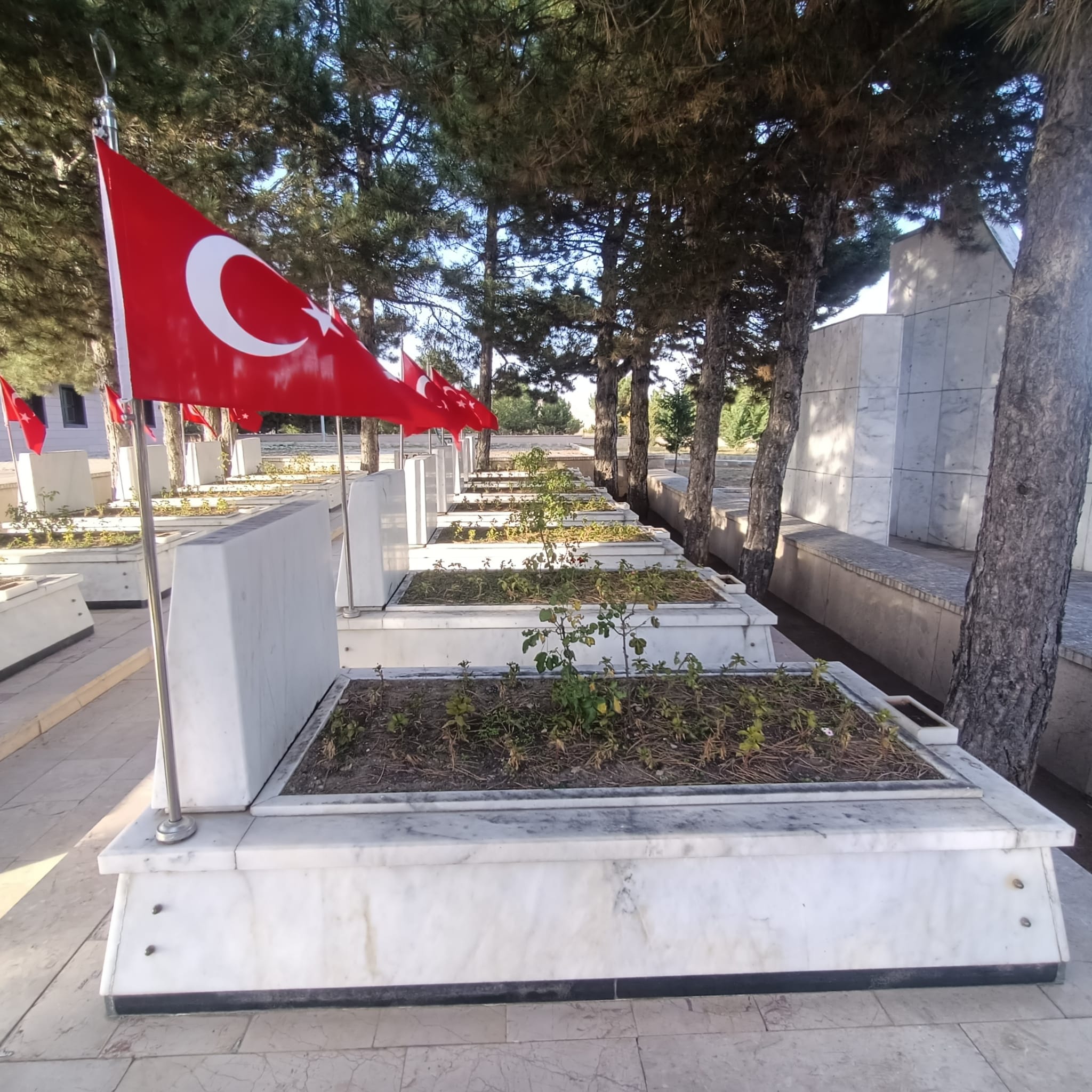 ZAFERİN GÖNÜLLÜ KAHRAMANLARI