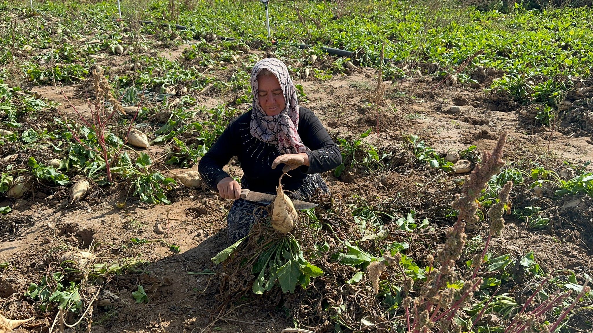 TEKNOLOJİYE KARŞI ESKİ USÜL