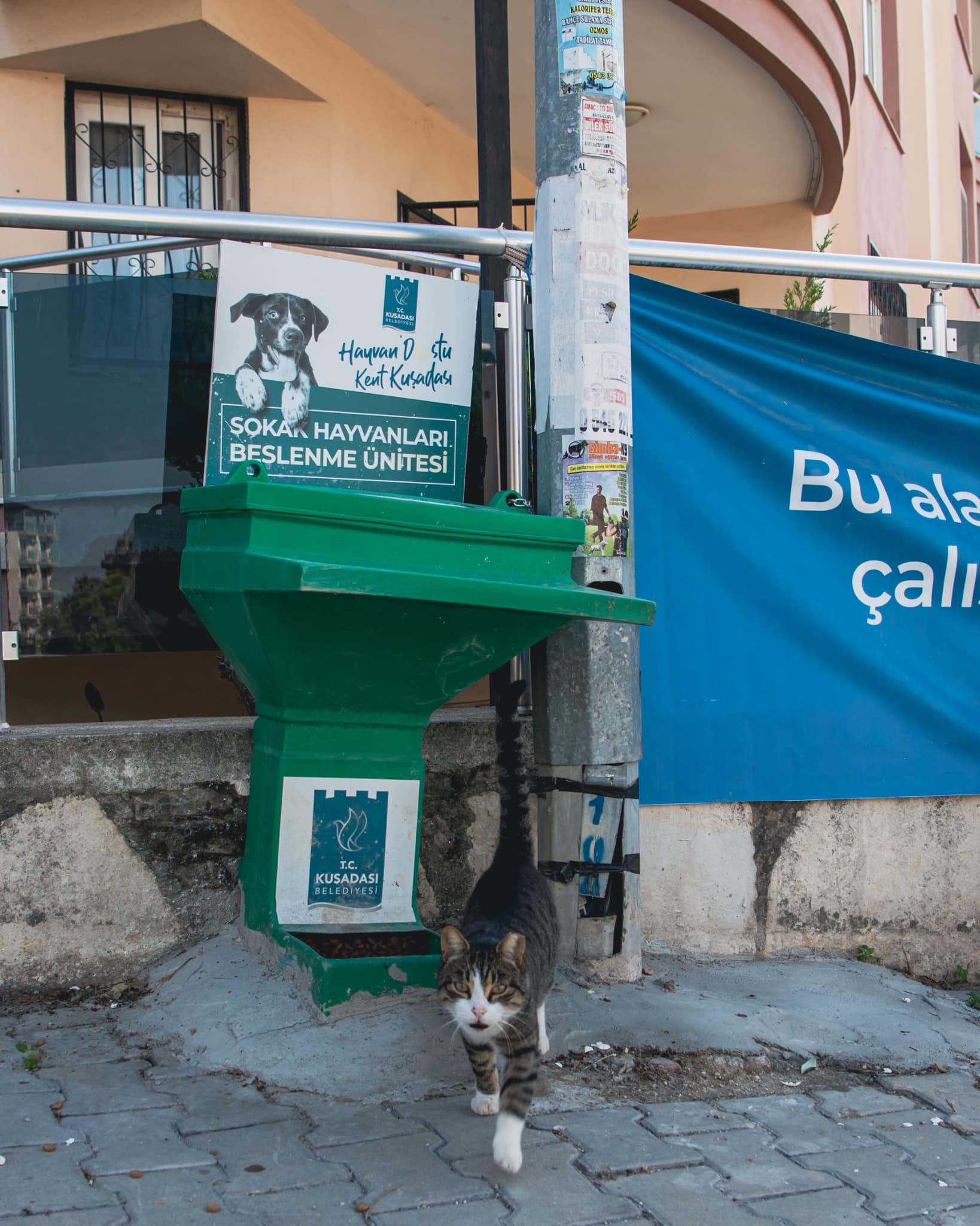 SOKAK HAYVANLARI UNUTULMUYOR