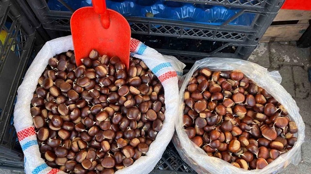 KIŞIN VAZGEÇİLMEZİ KESTANE SİZCE HANGİ GRUBA GİRER