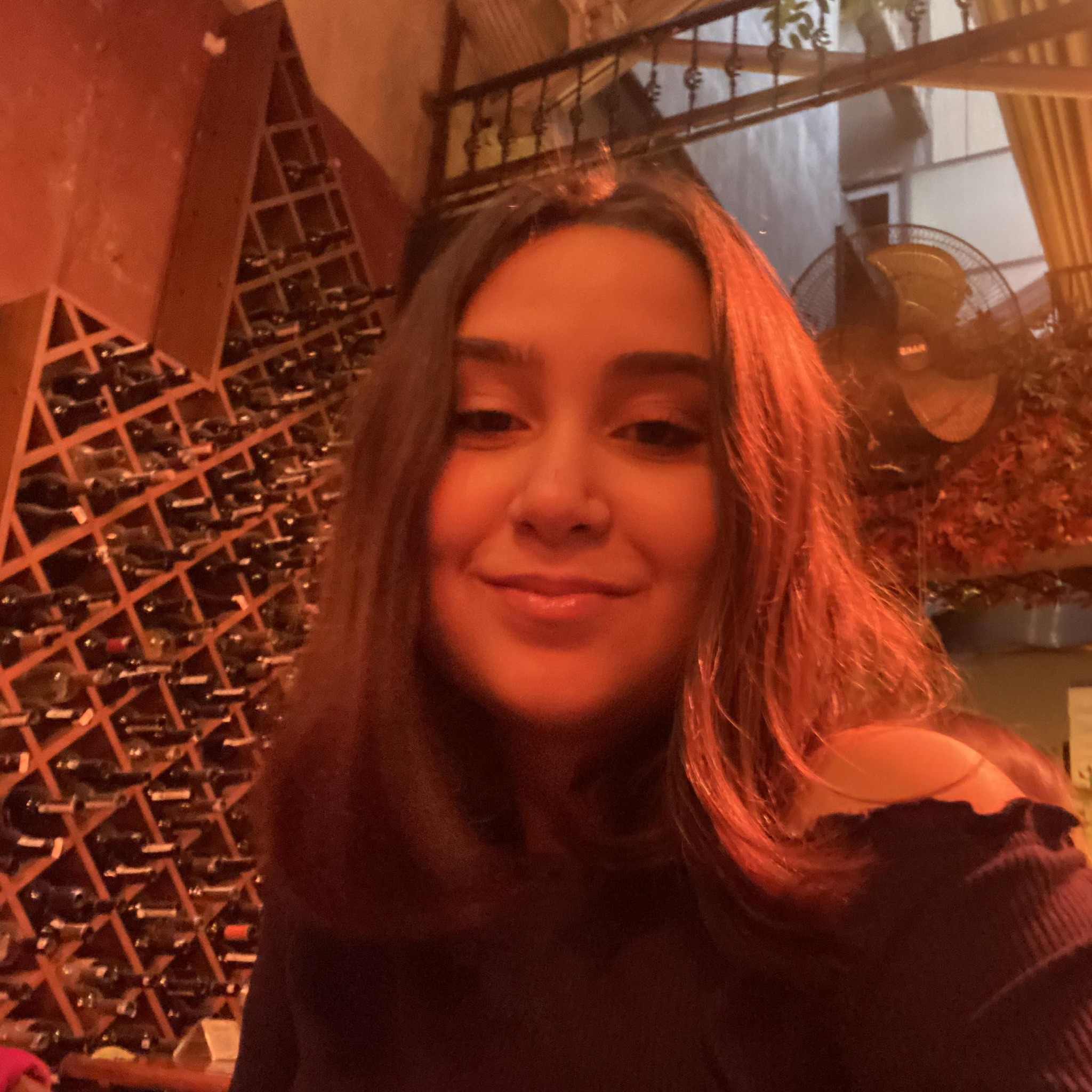Anne Kızın Sır Ölümü