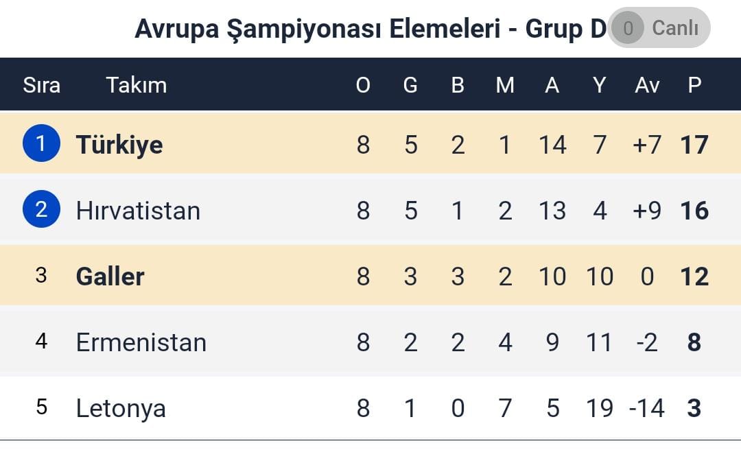 MİLLİ TAKIM EURO 2024'E LİDER GİDİYOR