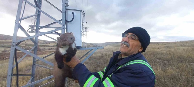 Yaramaz Sansar Bakın Nereye Girmiş