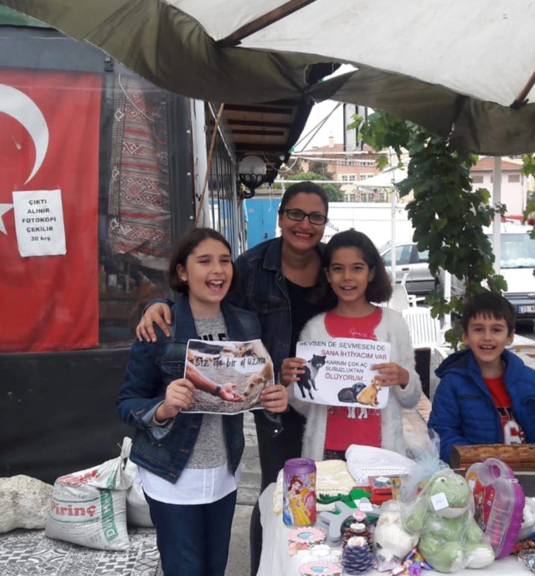 SOKAK HAYVANLARI İÇİN ÖRNEK PROJE