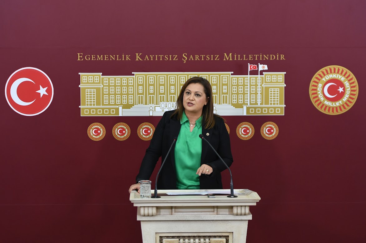 "Şiddet Mağduru Kadınlara Meşru Müdafaa Hakkı Tanınsın"