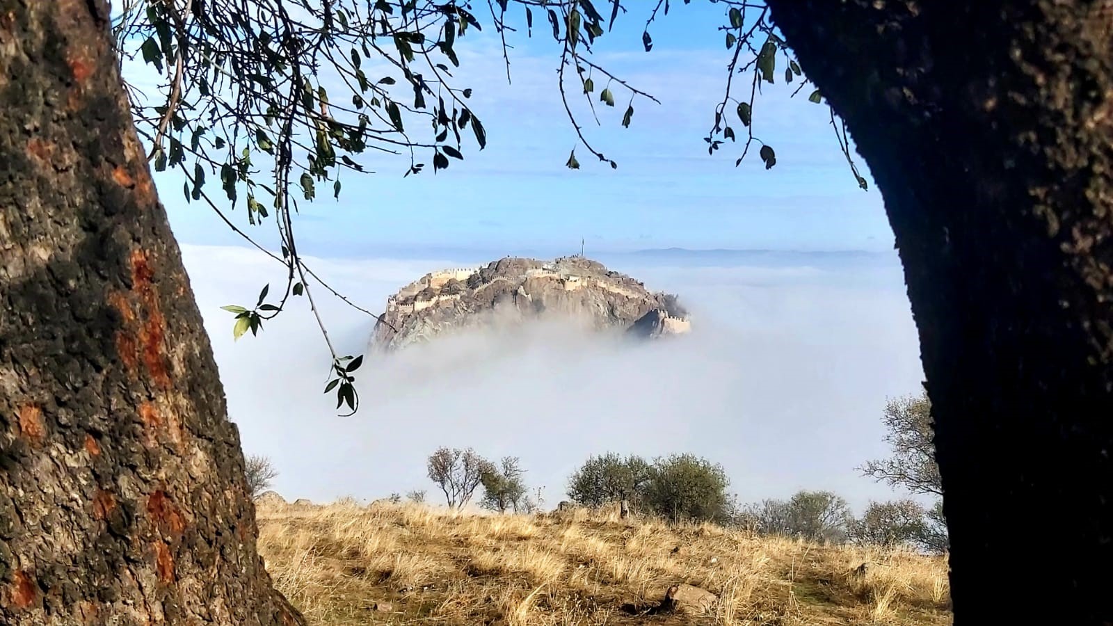 Doğa Fotoğrafçıları Soluğu Hıdırlık Tepesinde Aldı