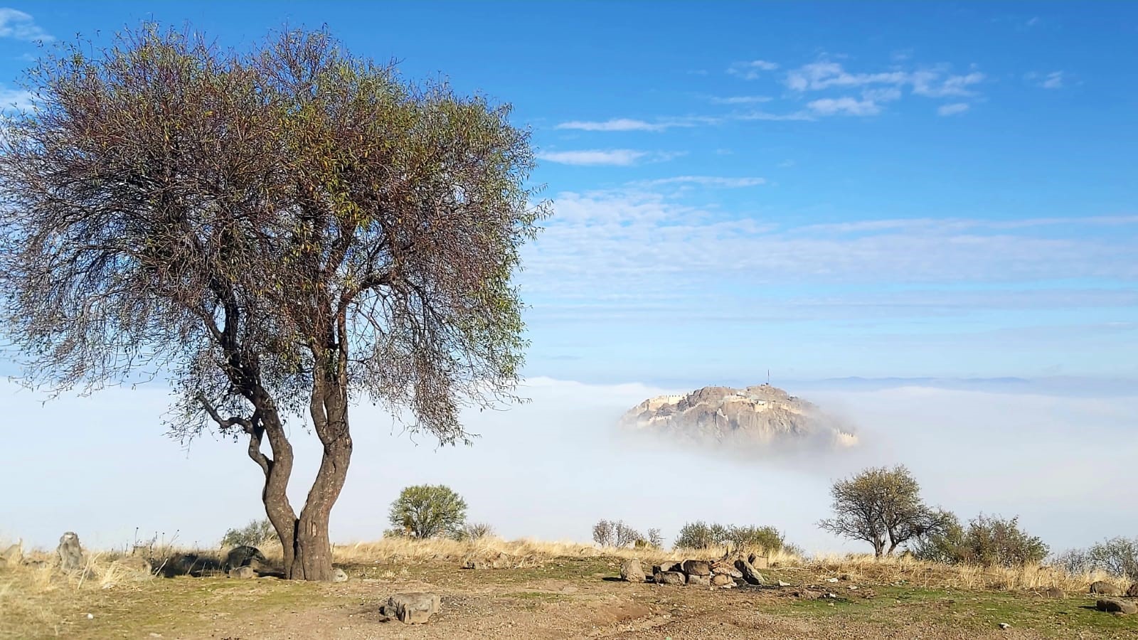 Doğa Fotoğrafçıları Soluğu Hıdırlık Tepesinde Aldı