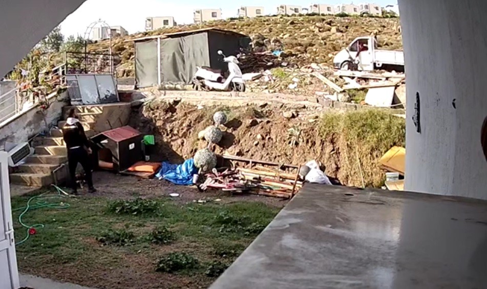 HAYVANA ŞİDDET ANI KAMERADA