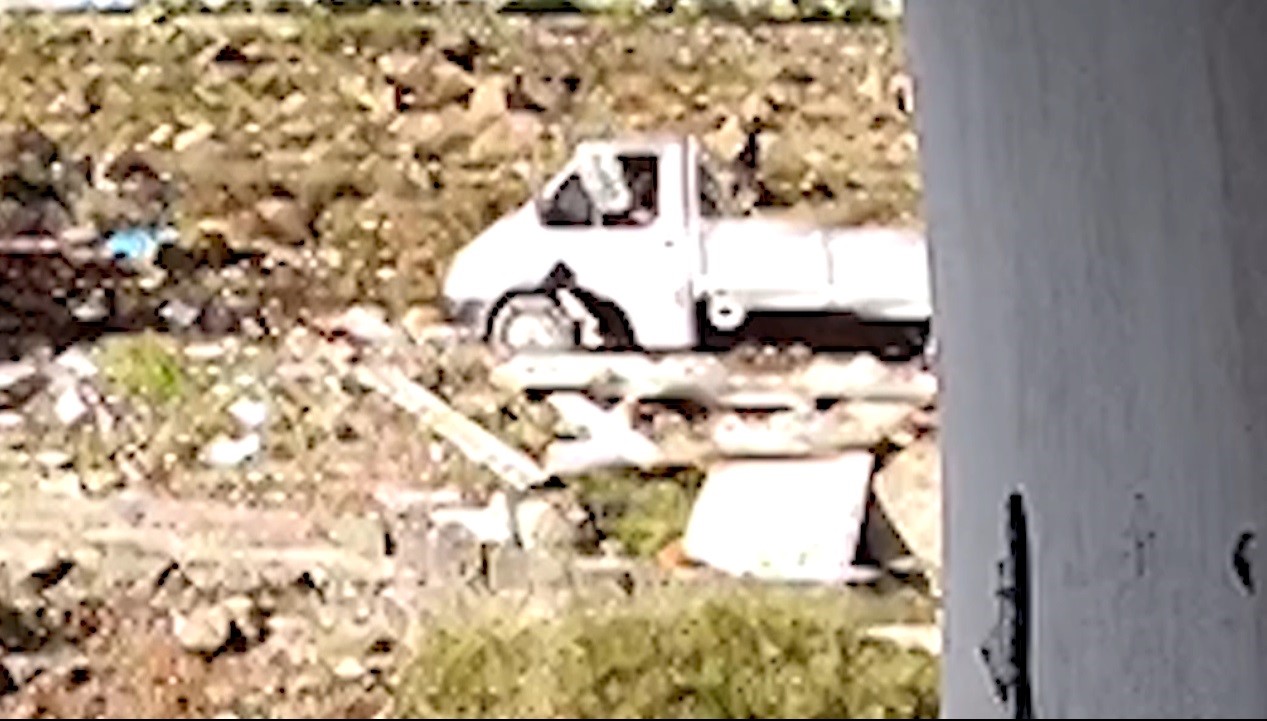 HAYVANA ŞİDDET ANI KAMERADA
