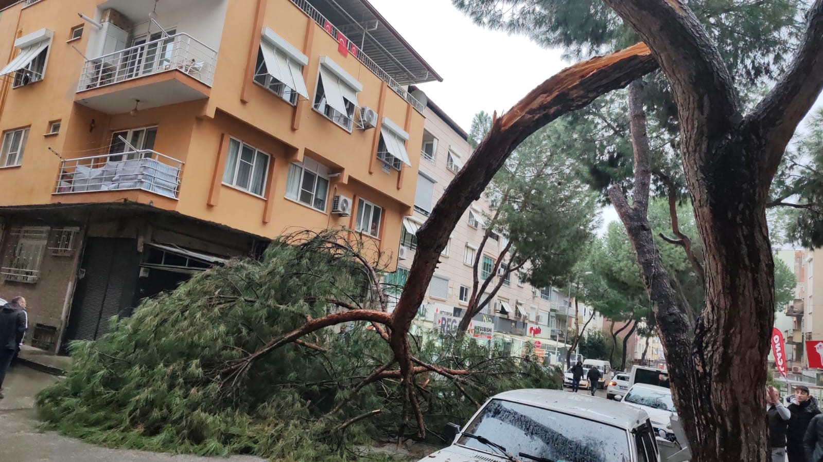 NEYE UĞRADIĞINI ŞAŞIRDI