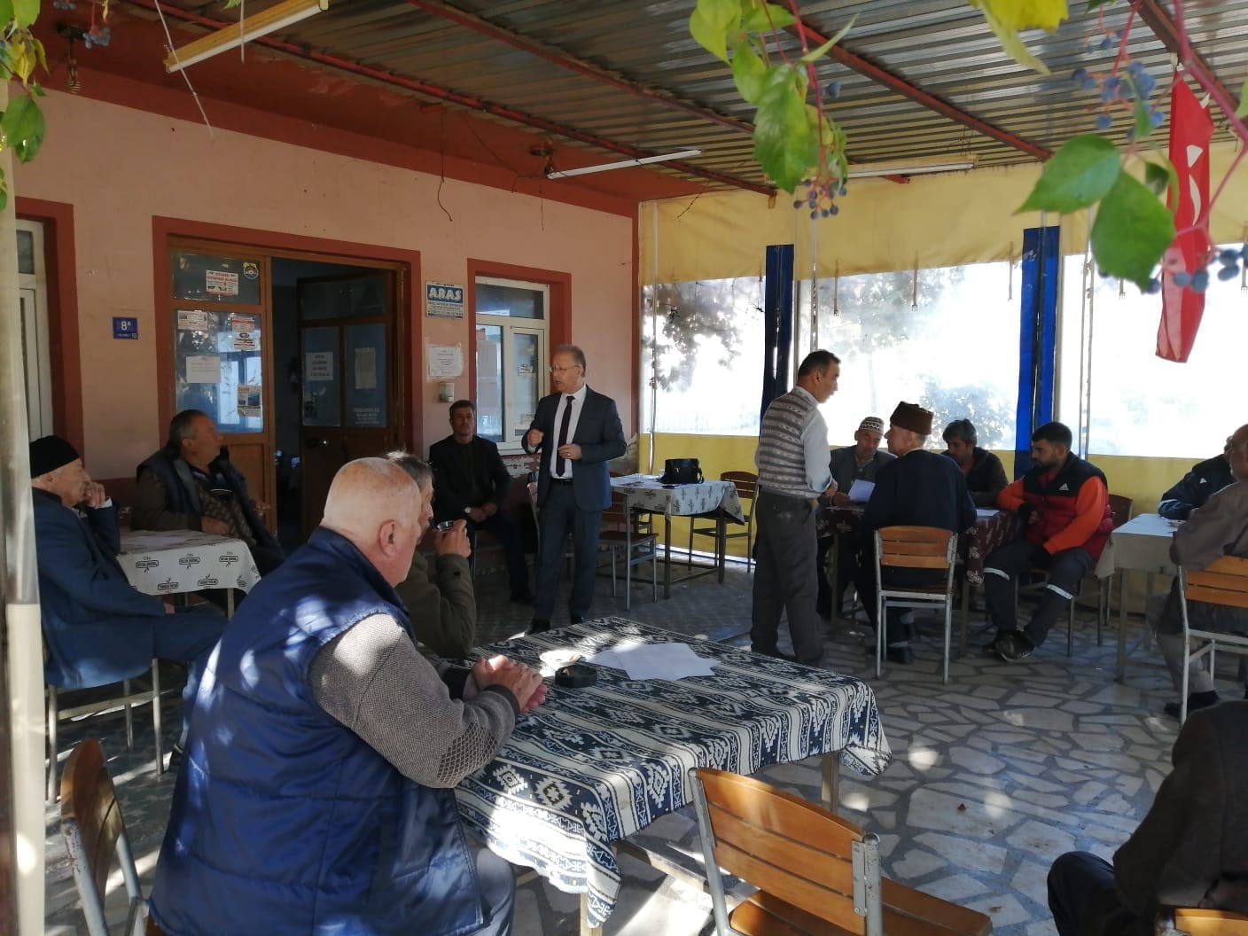 Dal kanseri artışı, zeytin üreticilerini endişelendirdi