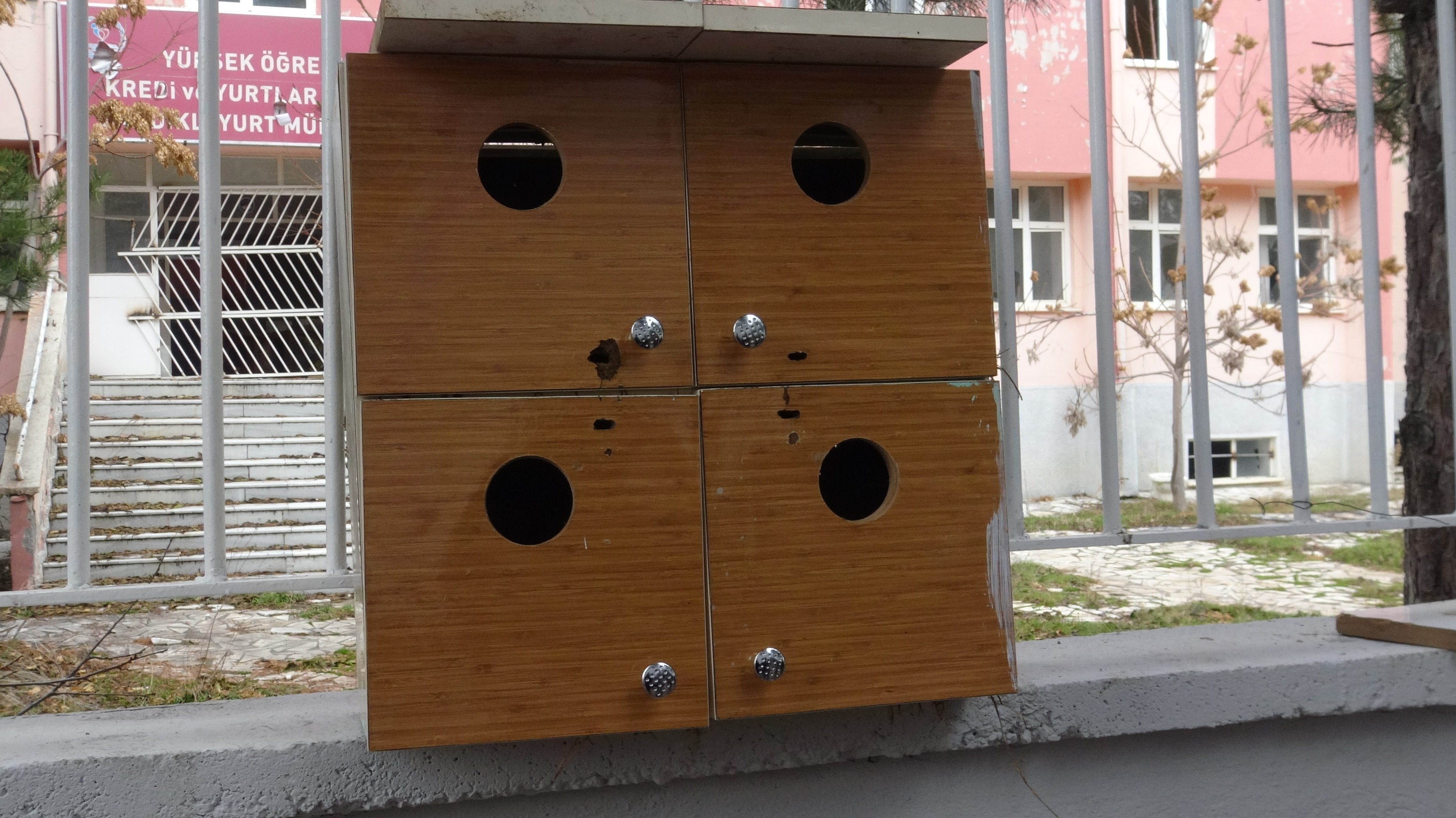 Lise Öğrencileri Eski Ahşap Dolaplardan Kuş Yuvası Yaptı