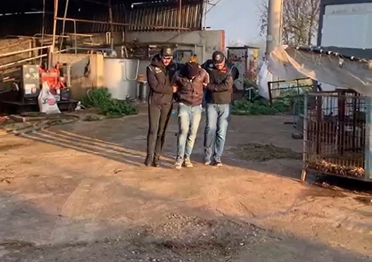 4 YPG Üyesi Tutuklandı