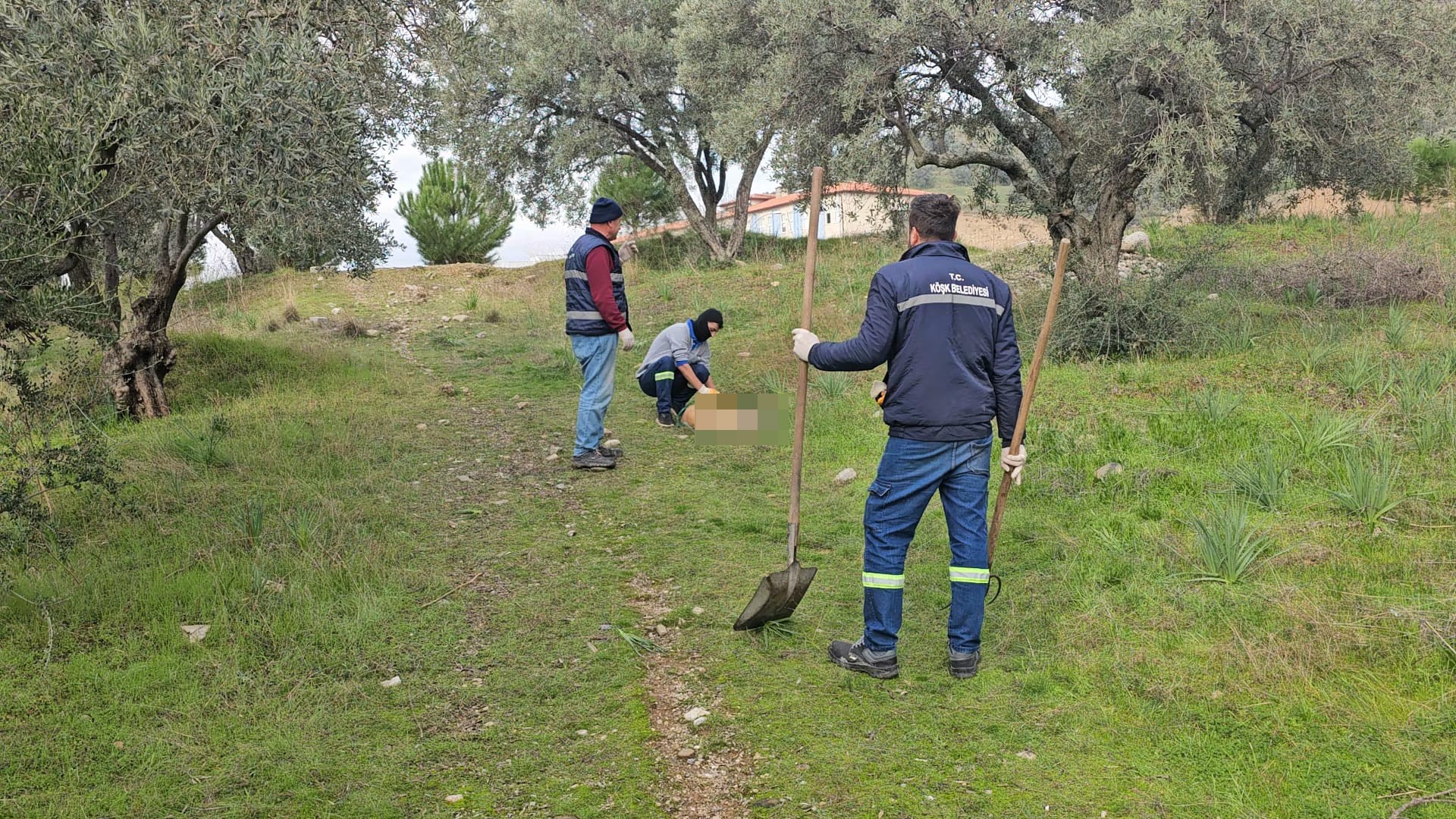 Böyle Vahşet Görülmedi!