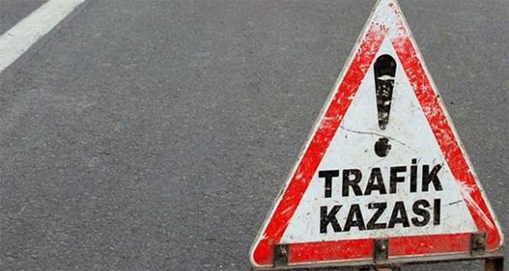 Tarlaya devrilen otomobilde 2 kişi yaralandı
