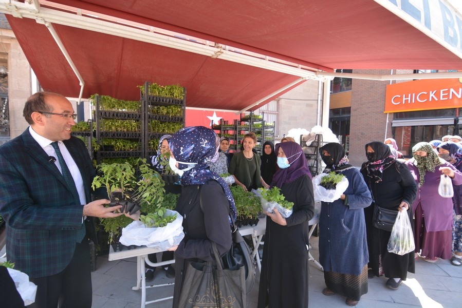 Sandıklı'da ata tohumları toprakla buluşuyor