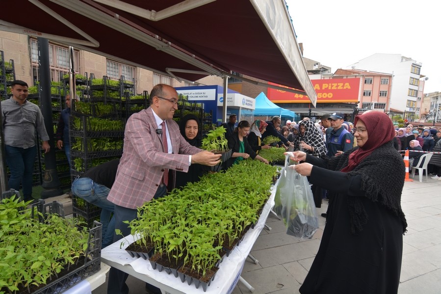 Sandıklı'da ata tohumları toprakla buluşuyor