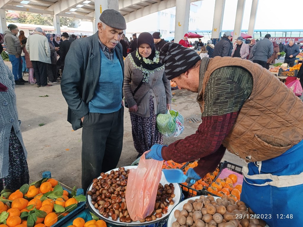 KESTANE BU YIL EL YAKIYOR