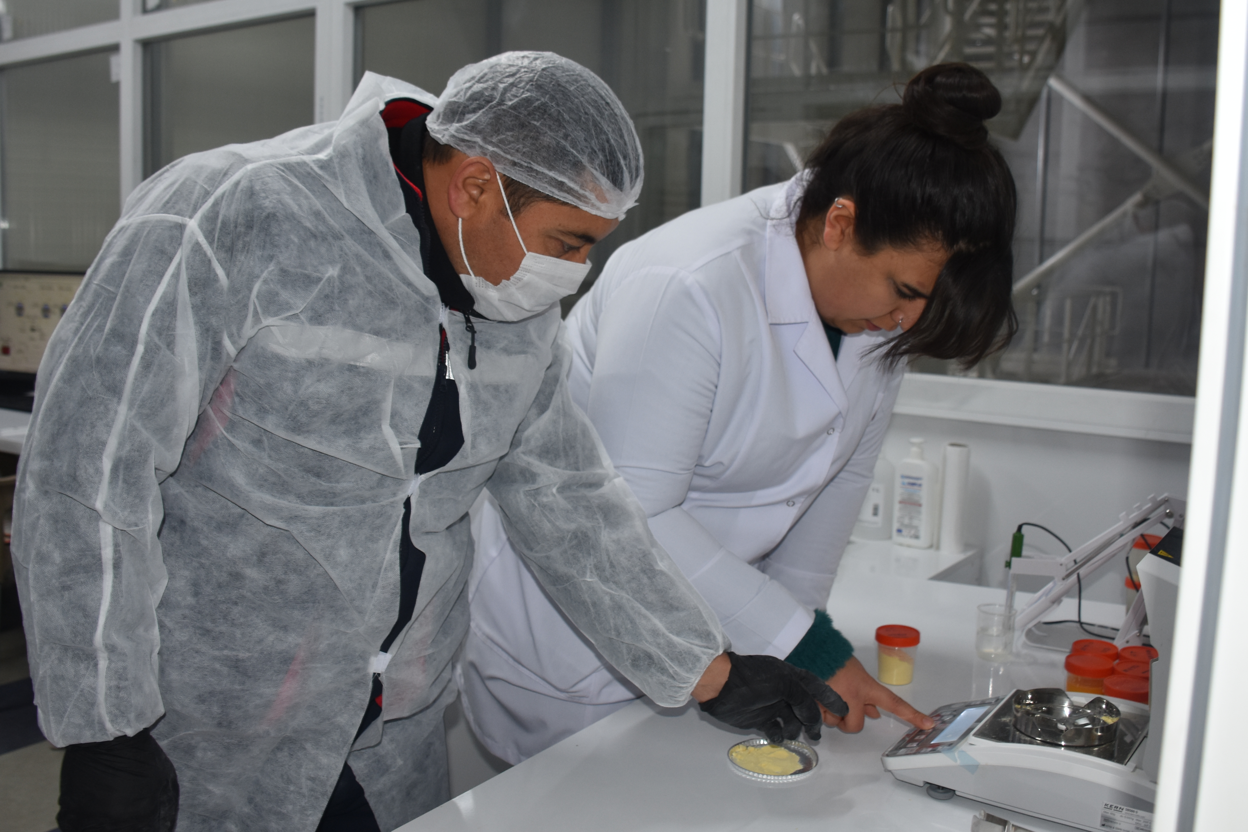 Yumurtalar Katkı Maddesine Dönüşüyor
