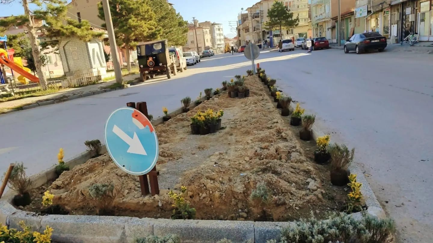 BOLVADİN BELEDİYESİ, ŞEHRİN ESTETİK DEĞERİNE KATKI SAĞLIYOR