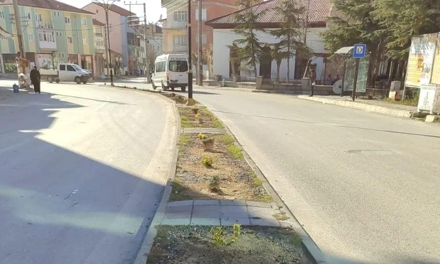 BOLVADİN BELEDİYESİ, ŞEHRİN ESTETİK DEĞERİNE KATKI SAĞLIYOR