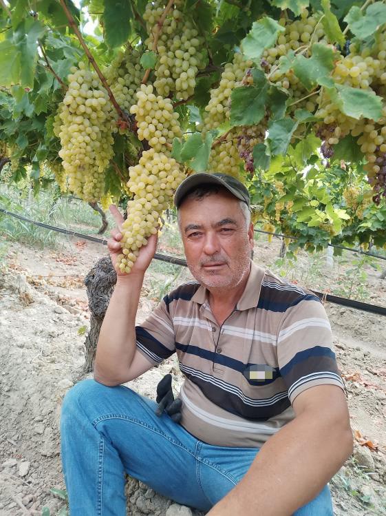 SIR DOLU CİNAYET: