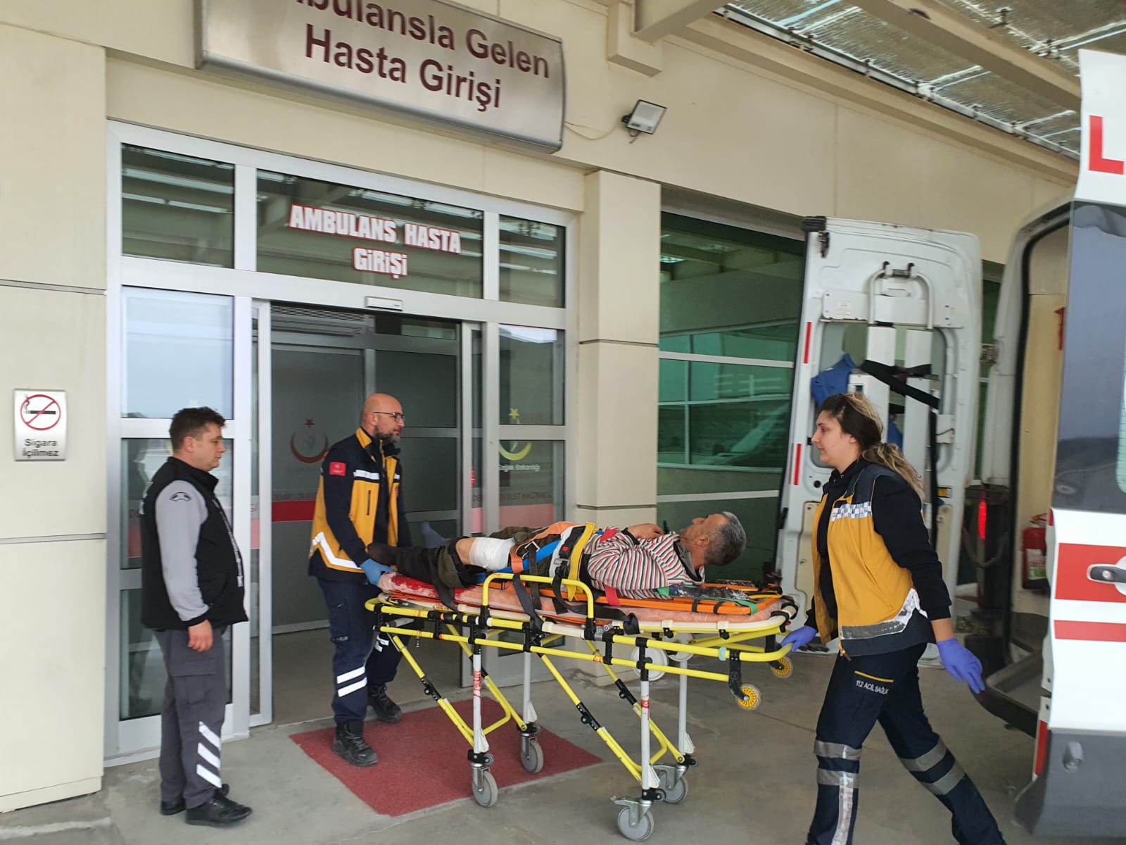 Talihsiz Adam Az Daha Canından Oluyordu. Domuzların Saldırısında Yaralandı