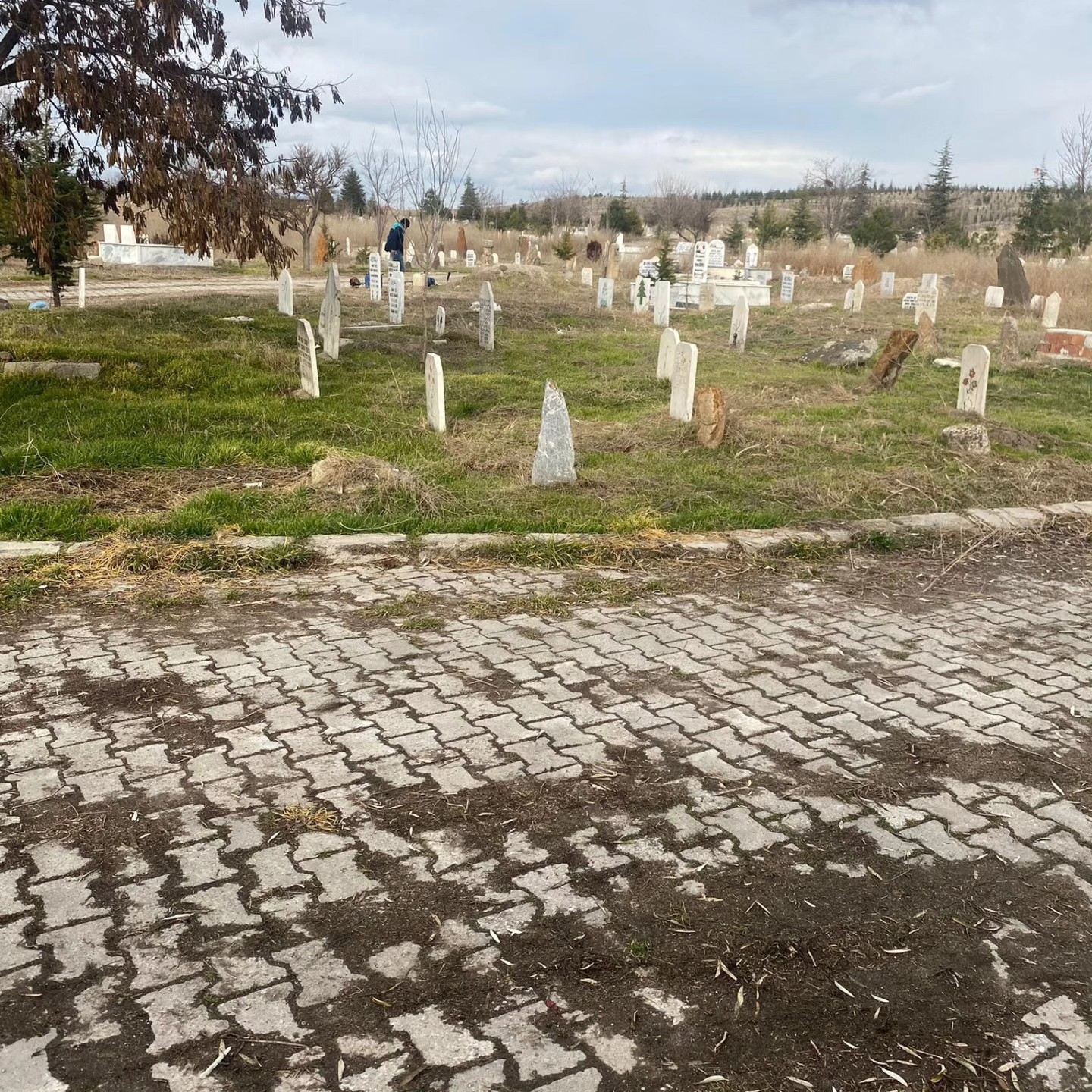 Gebecelerde Ekipler Çalışıyor. Vali Yardımcısı Keklik Çalışmaları Yakından Takip Ediyor
