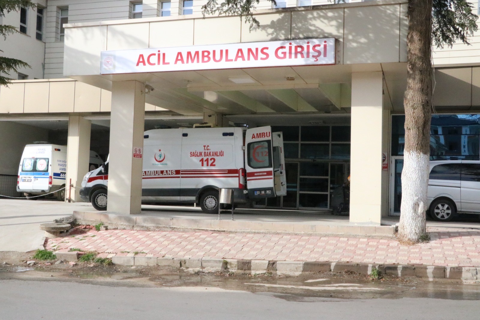 Üzerine Kavak Ağacı Düştü! Kestiği Ağaç Sonu Oldu…