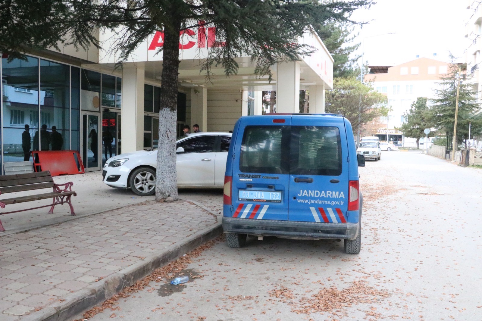 Üzerine Kavak Ağacı Düştü! Kestiği Ağaç Sonu Oldu…