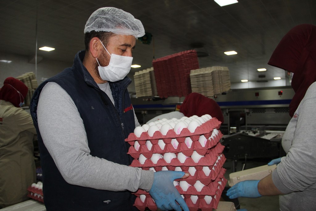 YUMURTA FİYATLARI TAVAN YAPTI