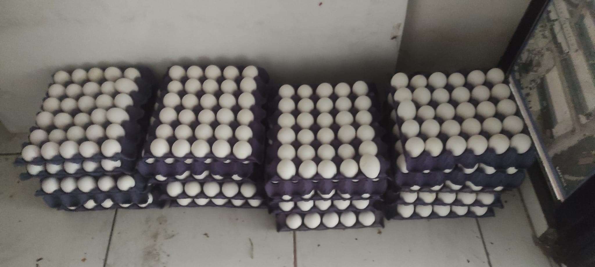 Sevgi Bağı Aileleri Sevindirmeye Devam Ediyor