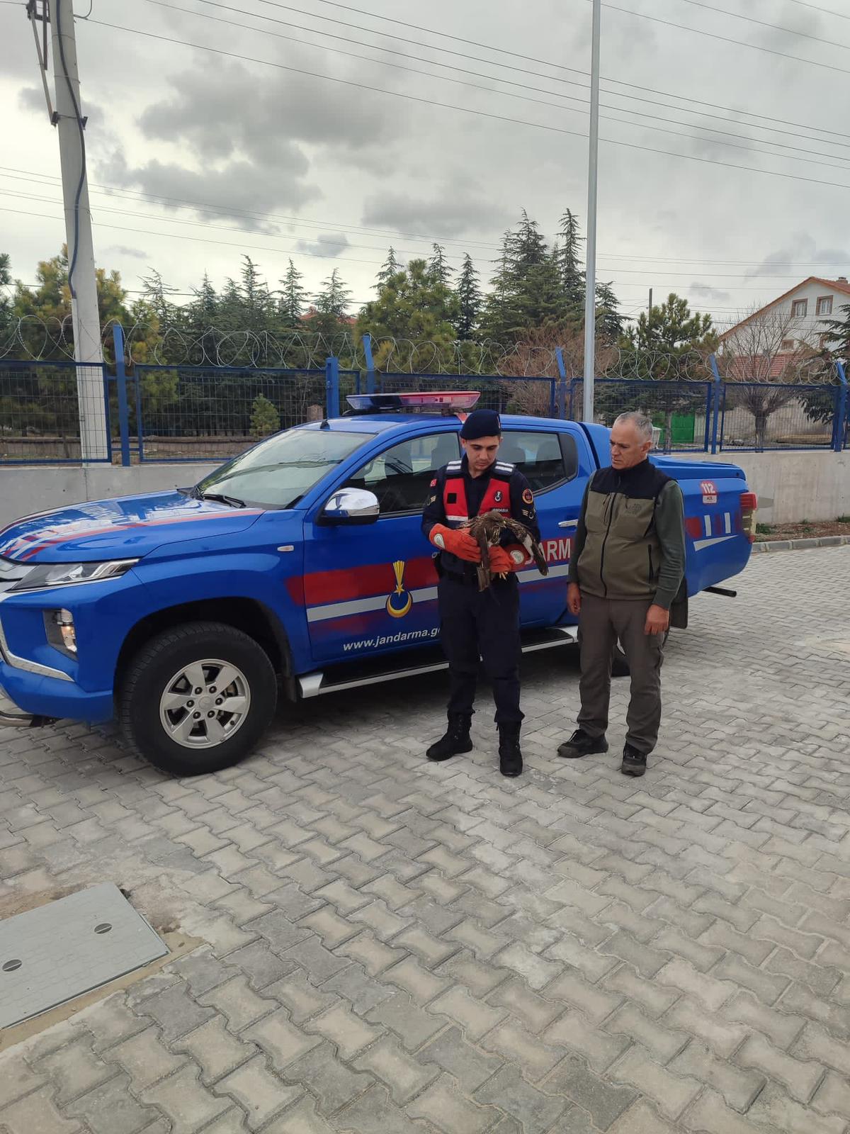 Jandarmanın Bulduğu Yaralı Şahin Koruma Altına Alındı