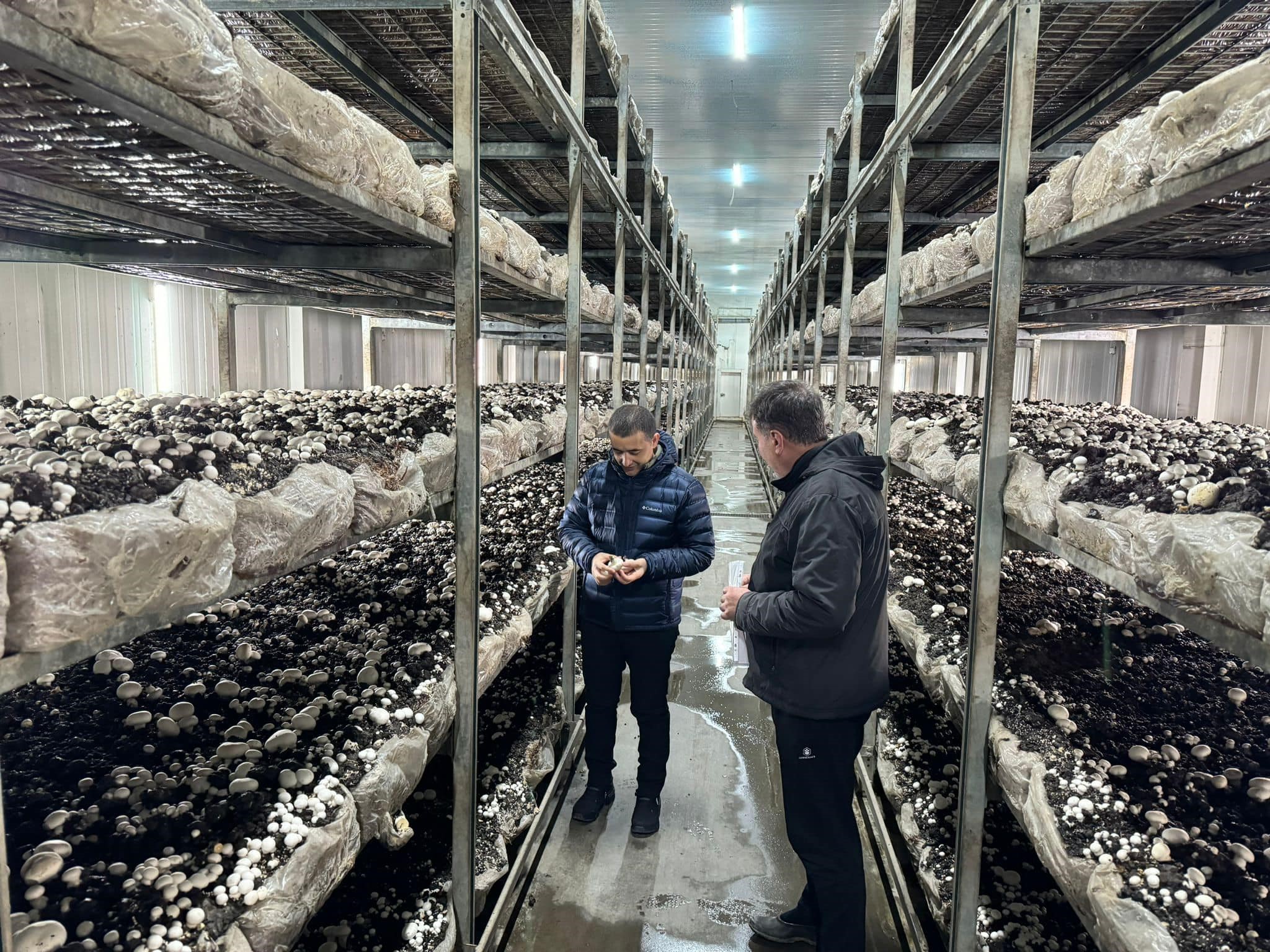 Emirdağ Osb’deki İşletmeler Faaliyetlerine Devam Ediyor