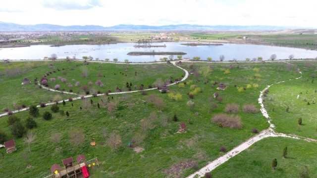 Afyonlu vatandaştan CİMER'e ilginç talep!