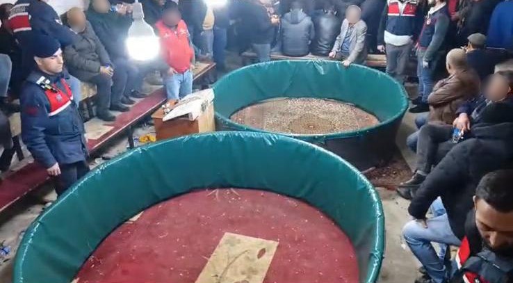 Jasat'tan Komando Destekli Horoz Dövüşü Operasyonu