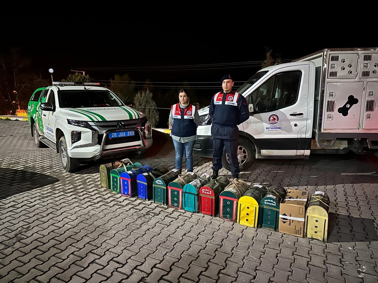 Jasat'tan Komando Destekli Horoz Dövüşü Operasyonu