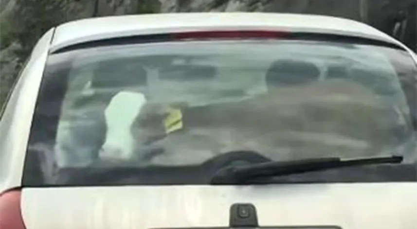 Otomobilde Yolculuk Keyfi! Görenler Şaşkına Döndü…