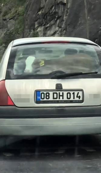 Otomobilde Yolculuk Keyfi! Görenler Şaşkına Döndü…