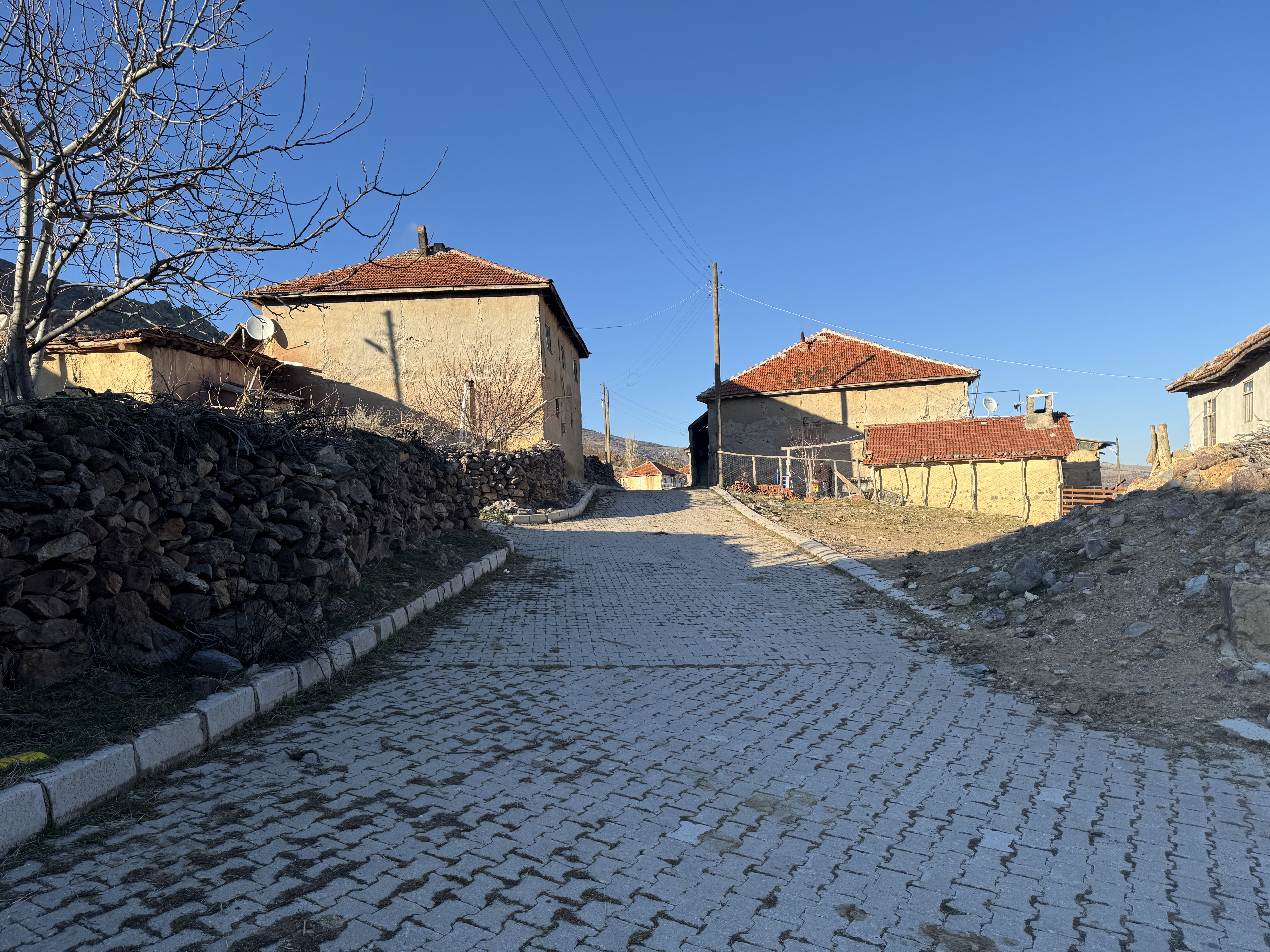 Afyon'da 15 Seçmenli Köyün Muhtarı Yedinci Dönem İçin Aday Oldu