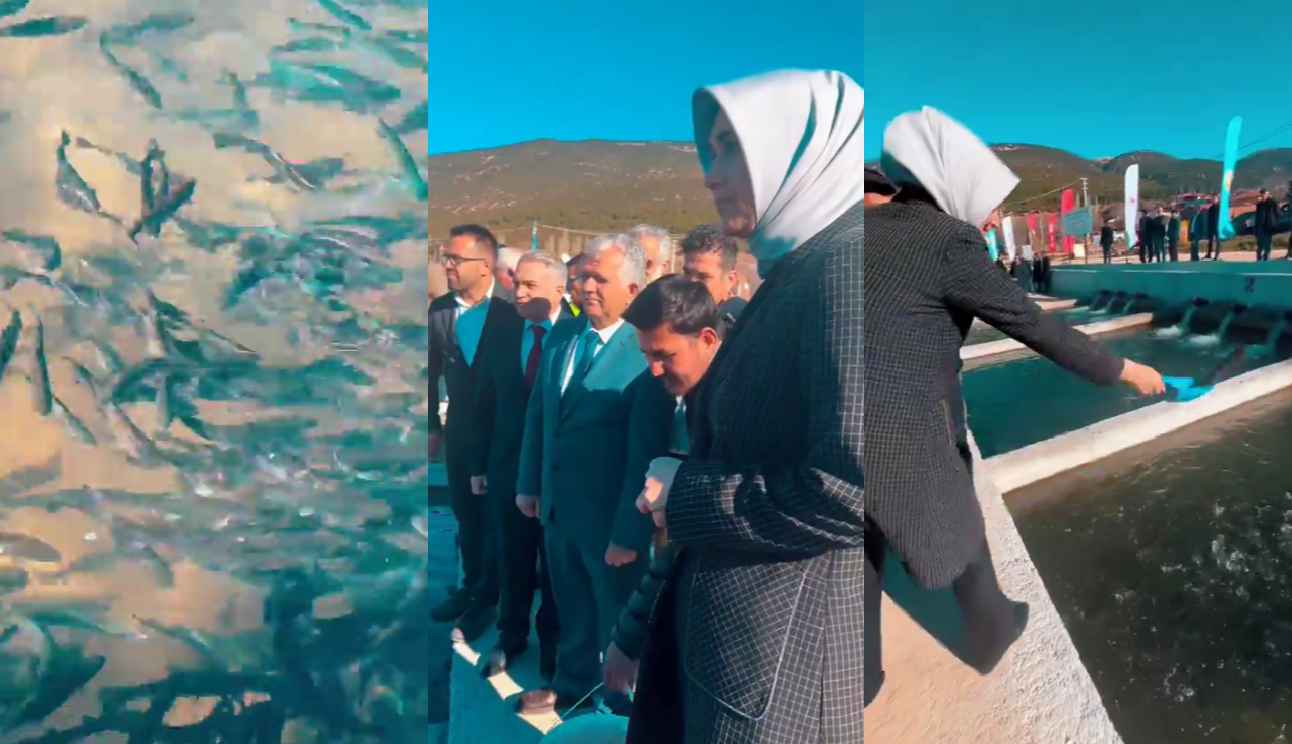 Vali Yiğitbaşı Dinar'da Alabalık Tesislerini Ziyaret Etti