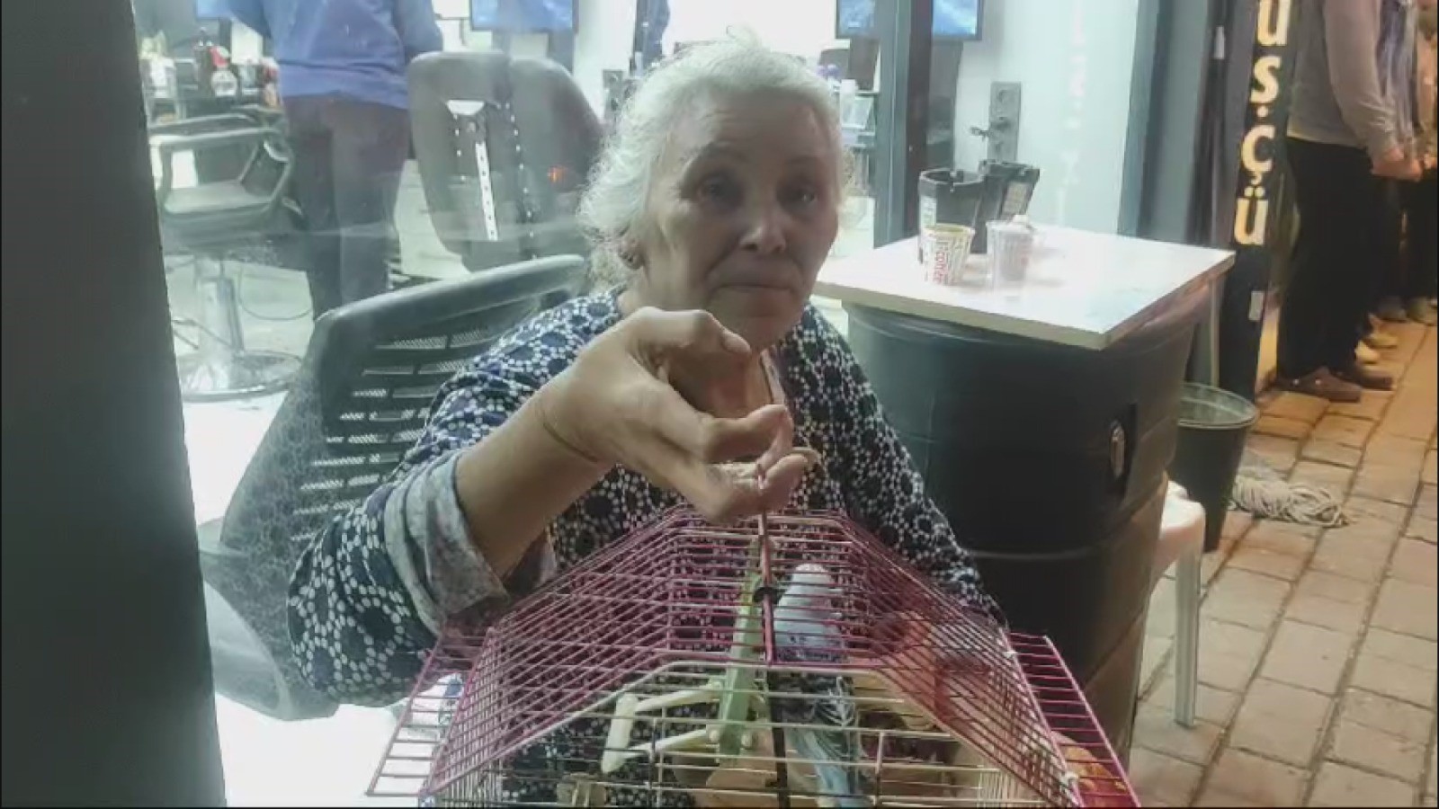 Evi Yanan Yaşlı Kadın, Can Yoldaşını Ölüme Terk Etmedi!